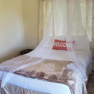 https://viva-viola.greaterantilleshotels.net