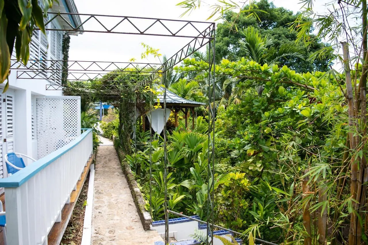Guest house M Hotel Port Antonio Jamaica