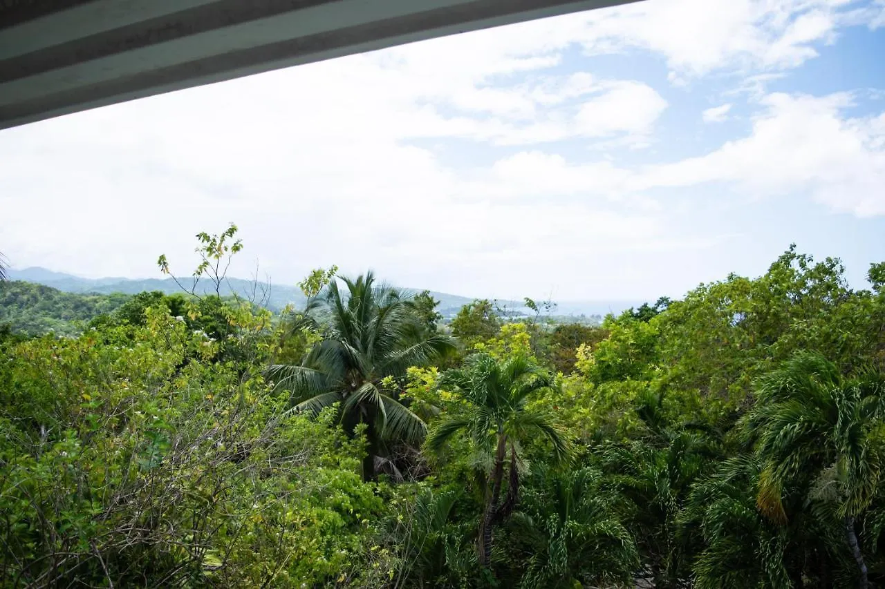 M Hotel Port Antonio Guest house