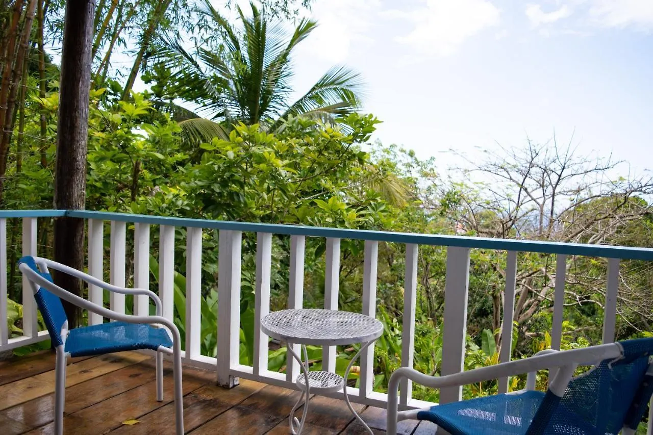 M Hotel Port Antonio Jamaica
