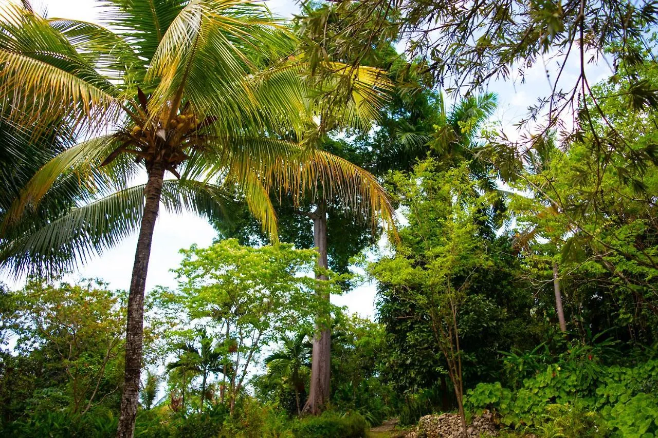 M Hotel Port Antonio 0*,  Jamaica
