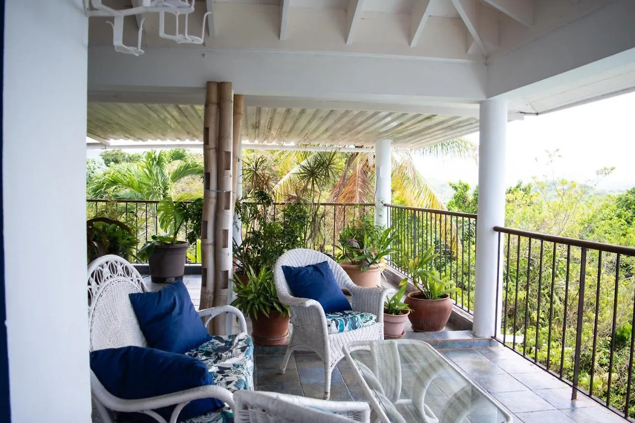M Hotel Port Antonio Jamaica