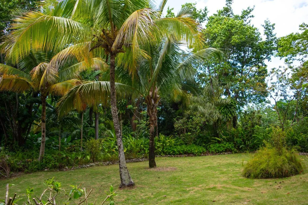 M Hotel Port Antonio 0*,